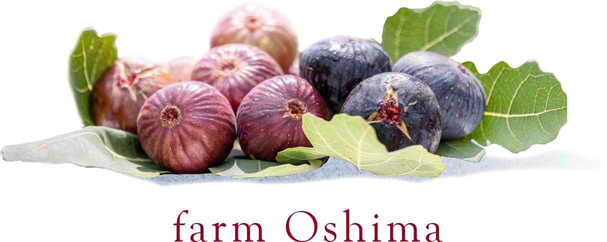 farm Ohshima